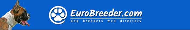German Boxer Breeders - EuroBreeder.com