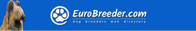 Briard Breeders - EuroBreeder.com