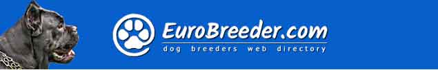 Cane Corso Italiano Breeders - Europe, USA, Australia - EuroBreeder.com