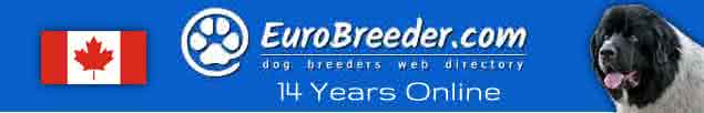 Canada Dog Breeders - EuroBreeder.com