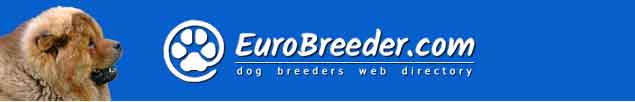 Chow Chow Breeders - EuroBreeder.com