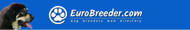 Tibetan Mastiff Breeders - EuroBreeder.com