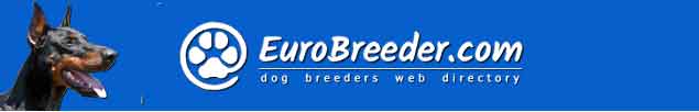 Dobermann Breeders - EuroBreeder.com