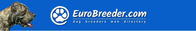 Dogo Canario Breeders - EuroBreeder.com