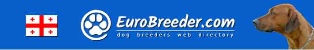 Georgia Dog Breeders - EuroBreeder.com