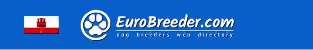 Gibraltar Dog Breeders - EuroBreeder.com