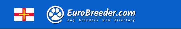 Guernsey Dog Breeders - EuroBreeder.com