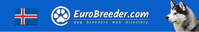 Iceland Dog Breeders - EuroBreeder.com
