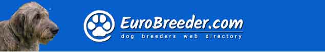 Irish Wolfhound Breeders - EuroBreeder.com