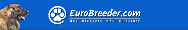 Leonberger Breeders - EuroBreeder.com