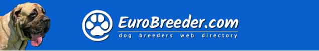 Mastiff Breeders - EuroBreeder.com