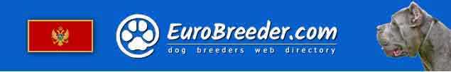 Montenegro Dog Breeders - EuroBreeder.com
