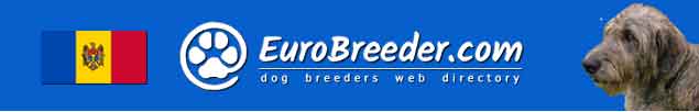 Moldova Dog Breeders - EuroBreeder.com