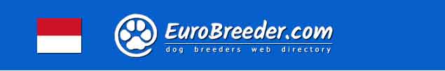 Monaco Dog Breeders - EuroBreeder.com