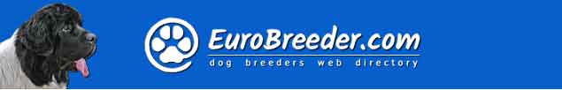 Newfoundland Breeders - EuroBreeder.com