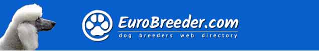 Poodle Dog Breeders - EuroBreeder.com