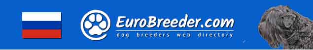 Russia Dog Breeders - EuroBreeder.com