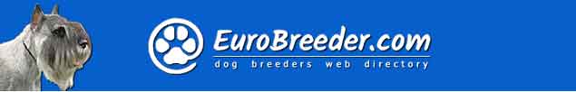 Schnauzer Breeders - EuroBreeder.com