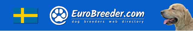 Sweden Dog Breeders - EuroBreeder.com