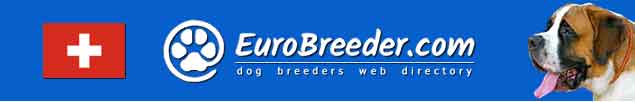 Switzerland Dog Breeders - EuroBreeder.com