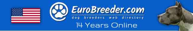 United States of America Dog Breeders - EuroBreeder.com