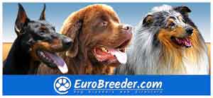 Dog Breeders in Europe, Americas and Australia