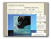Labrador Retriever Acque Lucenti