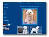 vom Adlerhorst Bichon Frise