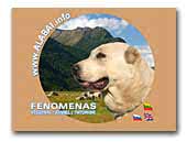 Kennel Fenomenas