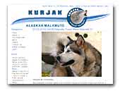 Kurjak Alaskan Malamute