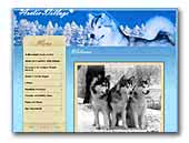 Arctic Village Alaskan Malamutes