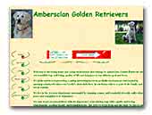 Ambersclan Golden Retrievers