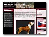 American Idol Kennel American Staffordshire Terriers