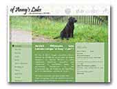 Labradors of Anny's Labs