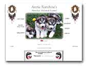 Arctic Sunshine's Alaskan Malamutes