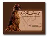 Arisland Irish Setter