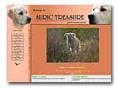 Auric Treasure golden retriever kennel