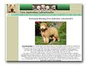 Labradoodle Australian Labradoodle - Breeders Kennels