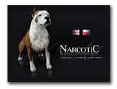 Narcotic Kennel