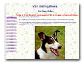 Smooth collies Van Balingshoek