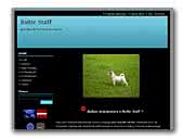 Baltic Staff Kennel Jack Russell Terrier