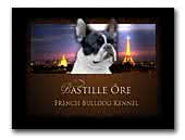 The Guard of the Bastille french bulldog kennel
