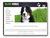 Rojaus bernas Bernese Mountain Dog kennel