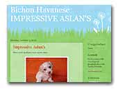 Impressive Aslan's Bichon havanese kennel