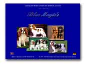 Blue Magics Cavalier King Charles Spaniel