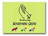 Bohemian Grow malinois and german shepherd dogs