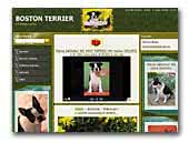 Od Mal�ho vrchu - Boston terrier