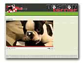 Bull-Tar Bostonterrier kennel