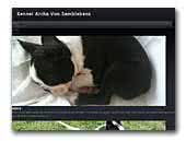 Kennel Archa Von Samblebens - Boston terrier kennel