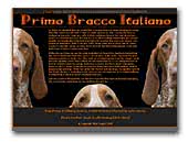 Primo Bracco Italiano